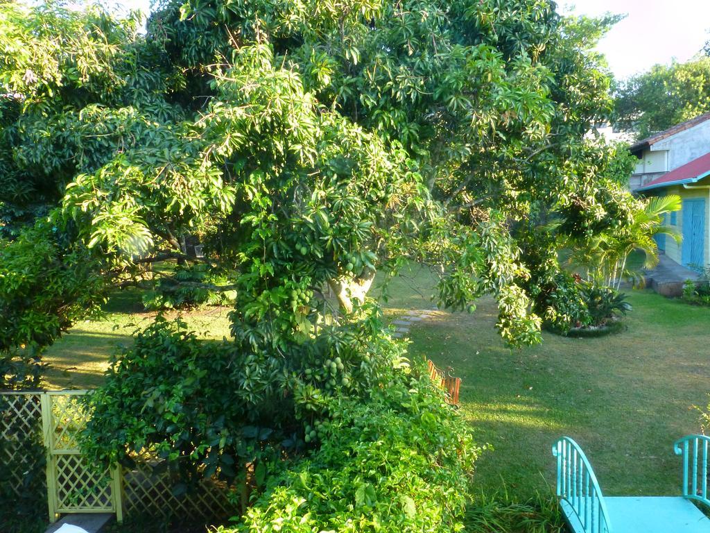 Casa De Las Tias San Jose  Bagian luar foto